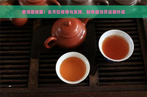 普洱茶加盟：全方位指导与支持，助您成功开设茶叶店