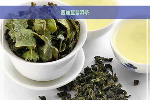 西加盟普洱茶