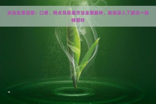 冰岛生普洱茶：口感、特点及品鉴方法全面解析，助你深入了解这一独特茶叶