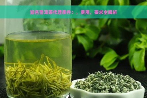 知名普洱茶代理条件：，费用，要求全解析