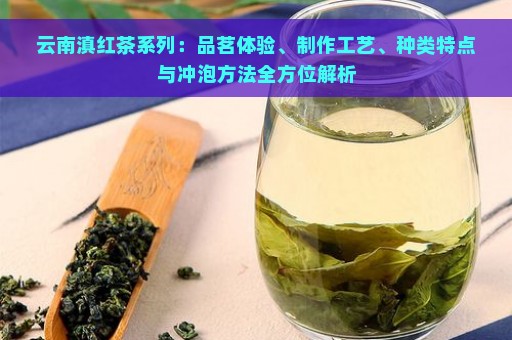 云南滇红茶系列：品茗体验、制作工艺、种类特点与冲泡方法全方位解析