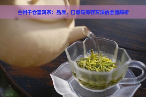 兰州干仓普洱茶：品质、口感与保存方法的全面解析