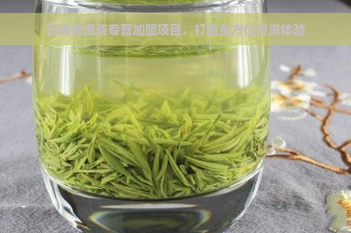 云南普洱茶专营加盟项目，打造全方位投资体验