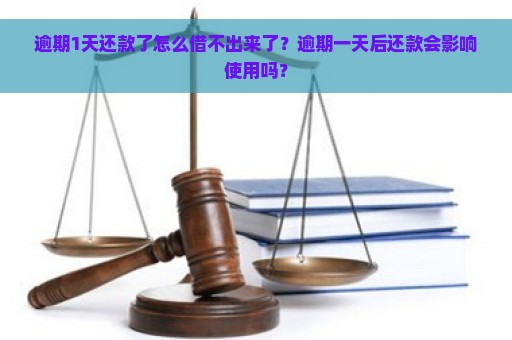 逾期1天还款了怎么借不出来了？逾期一天后还款会影响使用吗？