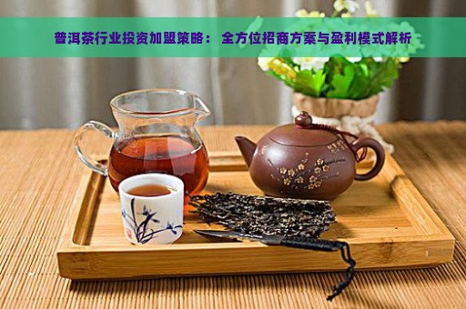 普洱茶行业投资加盟策略： 全方位招商方案与盈利模式解析