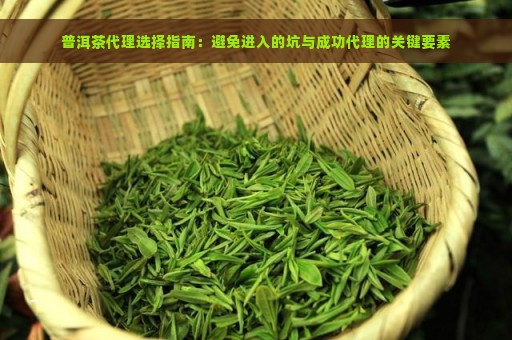 普洱茶代理选择指南：避免进入的坑与成功代理的关键要素