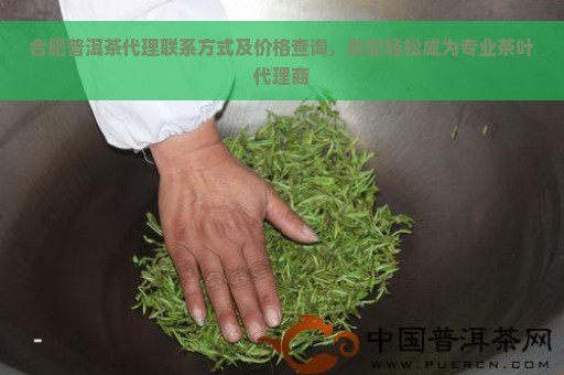 合肥普洱茶代理联系方式及价格查询，助您轻松成为专业茶叶代理商