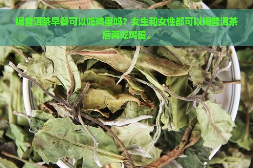 喝普洱茶早餐可以吃鸡蛋吗？女生和女性都可以喝普洱茶后再吃鸡蛋。