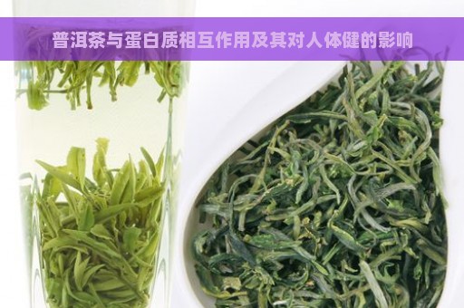 普洱茶与蛋白质相互作用及其对人体健的影响