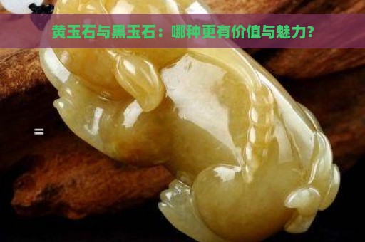 黄玉石与黑玉石：哪种更有价值与魅力？