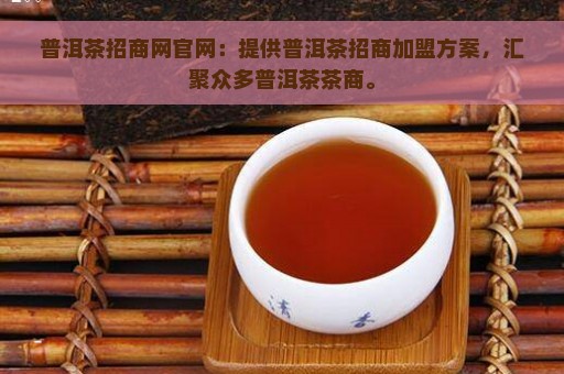 普洱茶招商网官网：提供普洱茶招商加盟方案，汇聚众多普洱茶茶商。