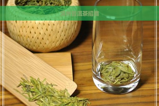 滨州普洱茶招商