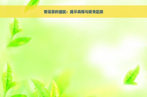 普洱茶的猫腻：揭示真相与避免陷阱