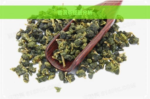 普洱茶怪圈分析