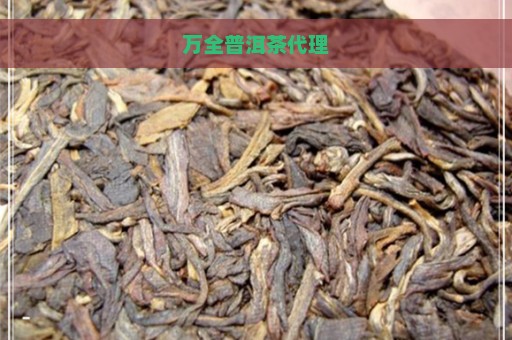 万全普洱茶代理