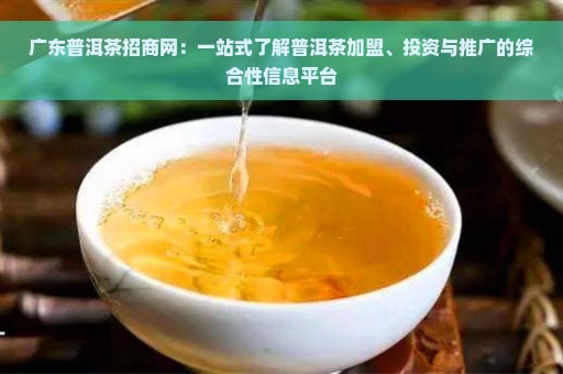 广东普洱茶招商网：一站式了解普洱茶加盟、投资与推广的综合性信息平台