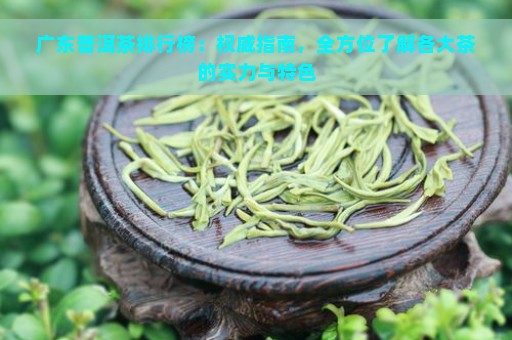 广东普洱茶排行榜：权威指南，全方位了解各大茶的实力与特色