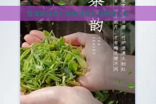 普洱茶招商厂家电话地址及网址汇总