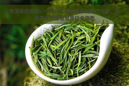 普洱茶招商网：一站式了解普洱茶加盟、代理、投资等全方面信息及行业动态