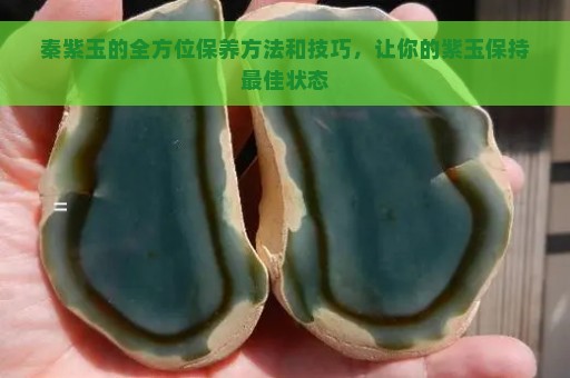 秦紫玉的全方位保养方法和技巧，让你的紫玉保持最佳状态