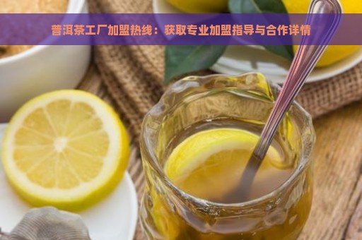 普洱茶工厂加盟热线：获取专业加盟指导与合作详情