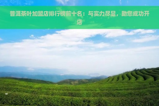 普洱茶叶加盟店排行榜前十名：与实力尽显，助您成功开店