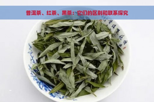 普洱茶、红茶、黑茶：它们的区别和联系探究