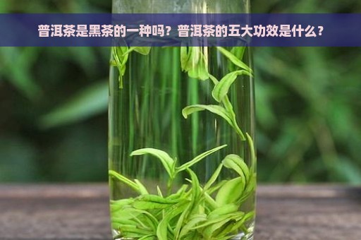 普洱茶是黑茶的一种吗？普洱茶的五大功效是什么？