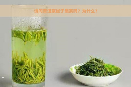 请问普洱茶属于黑茶吗？为什么？