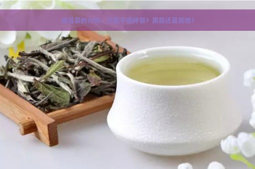 普洱茶的分类：它属于哪种茶？黑茶还是其他？