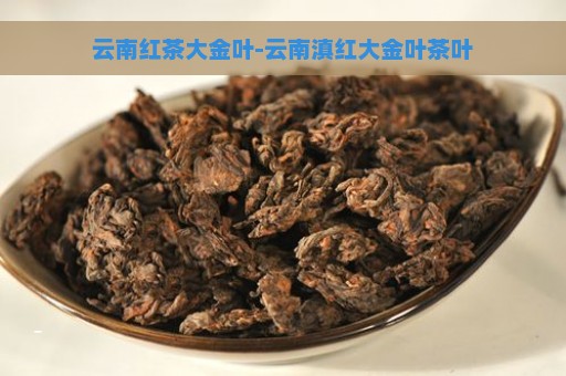 云南红茶大金叶-云南滇红大金叶茶叶