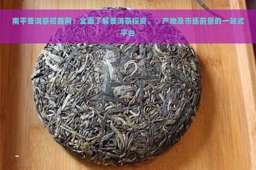 南平普洱茶招商网：全面了解普洱茶投资、、产地及市场前景的一站式平台