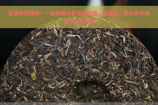 普洱茶招商网：一站式解决普洱茶加盟、经销商、茶叶及市场信息获取问题