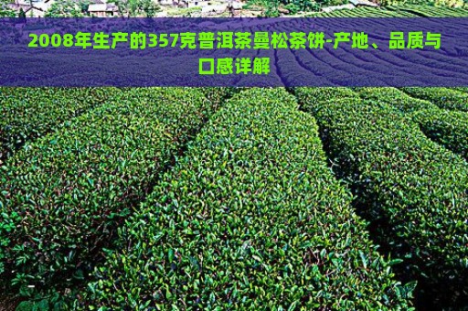 2008年生产的357克普洱茶曼松茶饼-产地、品质与口感详解