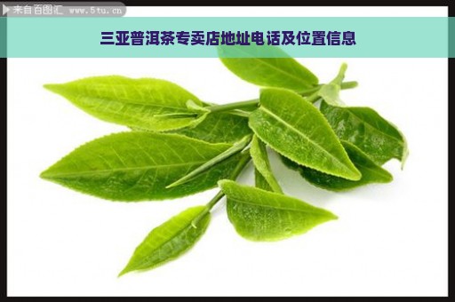 三亚普洱茶专卖店地址电话及位置信息