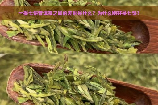 一提七饼普洱茶之间的差别是什么？为什么刚好是七饼？