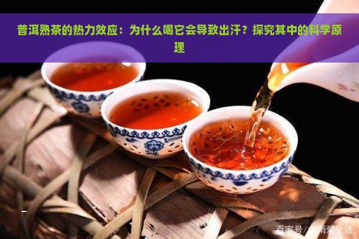 普洱熟茶的热力效应：为什么喝它会导致出汗？探究其中的科学原理