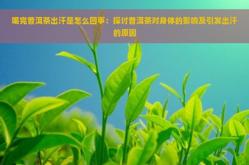 喝完普洱茶出汗是怎么回事：探讨普洱茶对身体的影响及引发出汗的原因