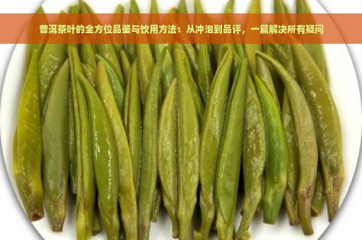 普洱茶叶的全方位品鉴与饮用方法：从冲泡到品评，一篇解决所有疑问