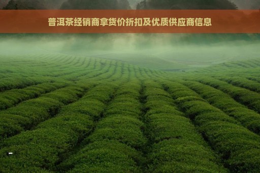 普洱茶经销商拿货价折扣及优质供应商信息