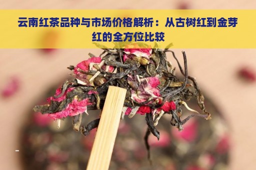 云南红茶品种与市场价格解析：从古树红到金芽红的全方位比较