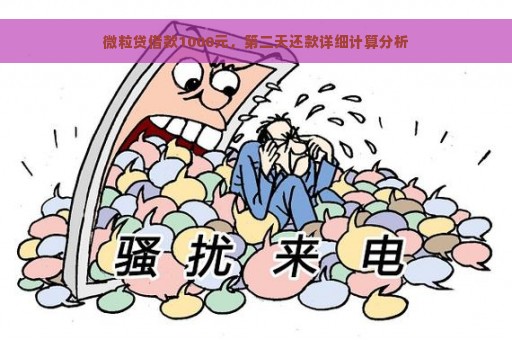 微粒贷借款1000元，第二天还款详细计算分析