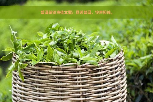 普洱茶铃声传文案：品茗普洱，铃声相伴。