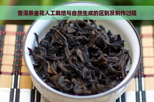 普洱茶金花人工栽培与自然生成的区别及制作过程