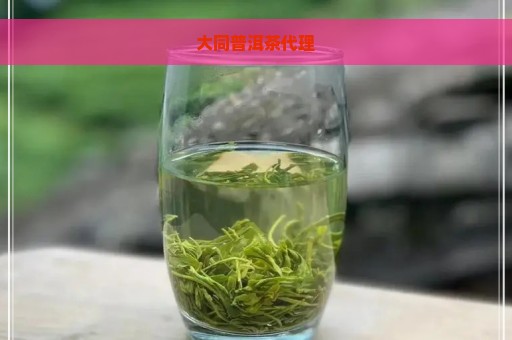 大同普洱茶代理