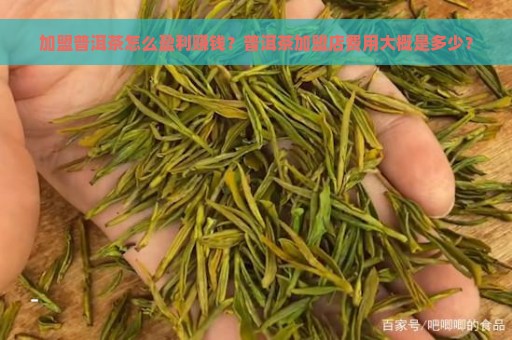 加盟普洱茶怎么盈利赚钱？普洱茶加盟店费用大概是多少？