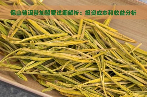 保山普洱茶加盟费详细解析：投资成本和收益分析