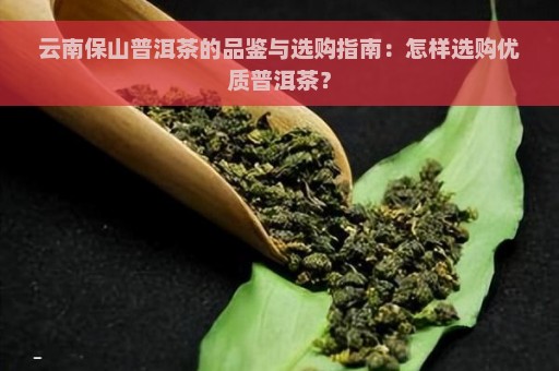 云南保山普洱茶的品鉴与选购指南：怎样选购优质普洱茶？