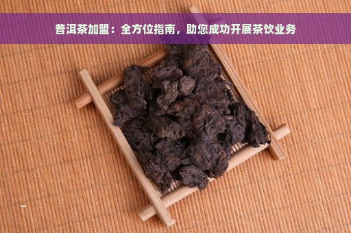 普洱茶加盟：全方位指南，助您成功开展茶饮业务