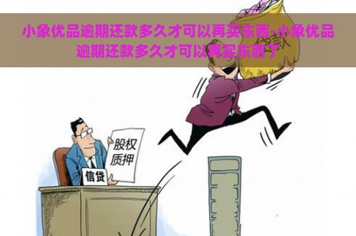 小象优品逾期还款多久才可以再买东西-小象优品逾期还款多久才可以再买东西了